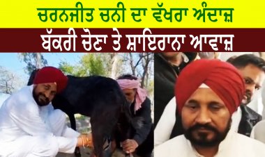 ਚਰਨਜੀਤ ਚਨੀ ਦਾ ਵੱਖਰਾ ਅੰਦਾਜ਼ , ਬੱਕਰੀ ਚੋਣਾ ਤੇ ਸ਼ਾਇਰਾਨਾ ਆਵਾਜ਼