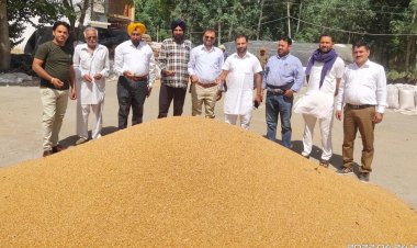 ਆੜਤਿਆਂ ਅਤੇ ਕਿਸਾਨਾਂ ਨੂੰ ਕੋਈ ਵੀ ਮੁਸ਼ਕਲ ਨਹੀਂ ਆਉਣ ਦਿੱਤੀ ਜਾਵੇਗੀ  :  ਆਮ ਆਦਮੀ ਪਾਰਟੀ