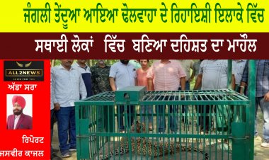 ਜੰਗਲੀ ਤੇਂਦੂਆ ਆਇਆ ਢੋਲਵਾਹਾ ਦੇ ਰਿਹਾਇਸ਼ੀ ਇਲਾਕੇ ਵਿੱਚ  , ਸਥਾਈ ਲੋਕਾਂ   ਵਿੱਚ  ਬਣਿਆ ਦਹਿਸ਼ਤ ਦਾ ਮਾਹੌਲ