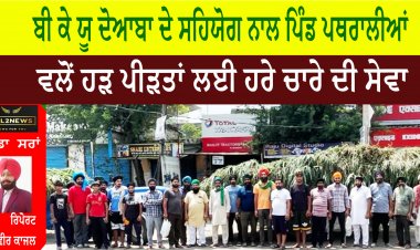 ਬੀ ਕੇ ਯੂ ਦੋਆਬਾ ਦੇ ਸਹਿਯੋਗ ਨਾਲ ਪਿੰਡ ਪਥਰਾਲੀਆਂ  ਵਲੋਂ ਹੜ ਪੀੜਤਾਂ ਲਈ ਹਰੇ ਚਾਰੇ ਦੀ ਸੇਵਾ
